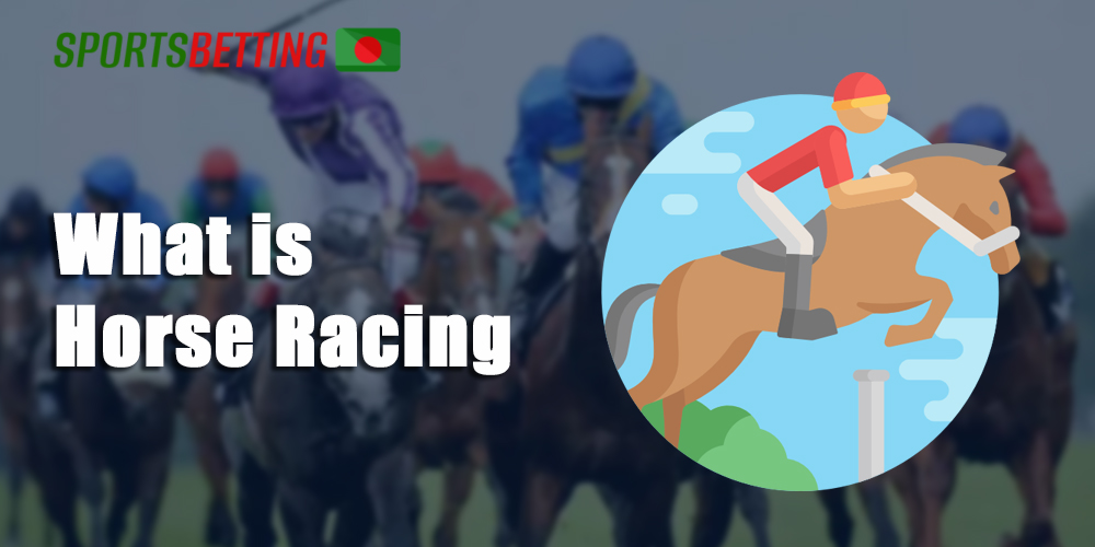 Horse Racing as sport for betting