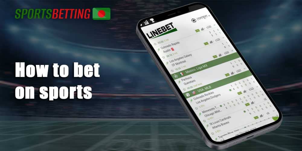How to start betting on the bookmaker Linebet 