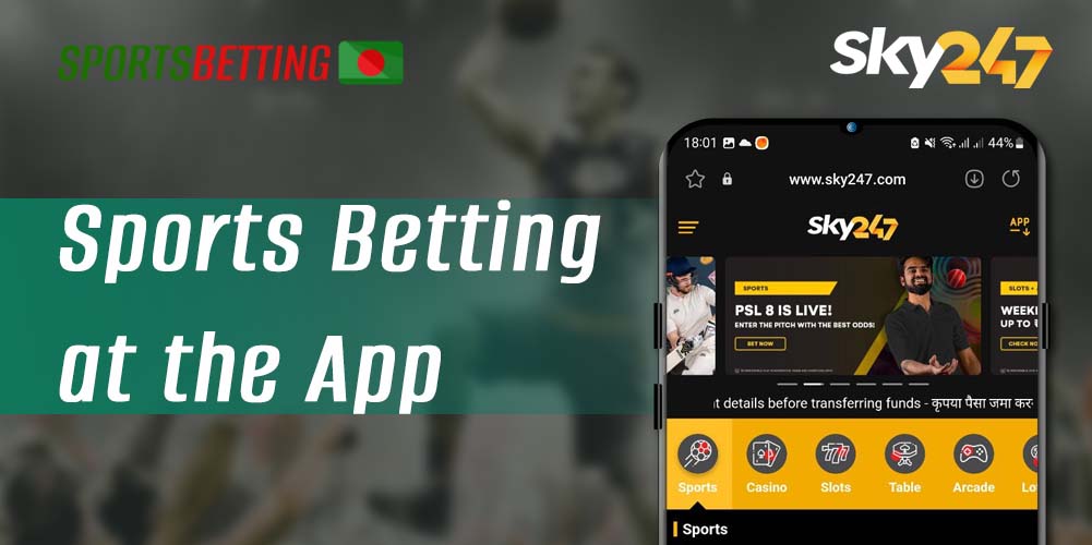 What sports Bangladeshi users can bet on with the Sky247 app