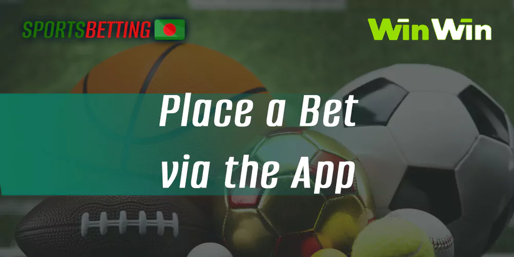 How to Start Betting on Sports with WinWin Application